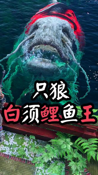 只狼- 影逝二度