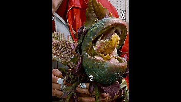 外太空的新型物种,来到地球竟然变成了巨型食人花 #宅家dou剧场